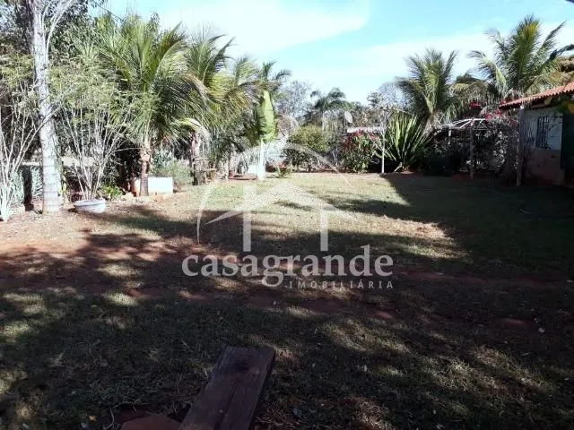 Imagem 4