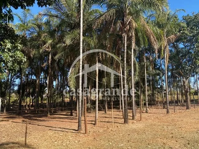 Imagem 8