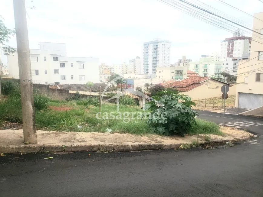 Imagem 10