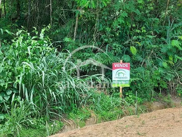 Imagem 2