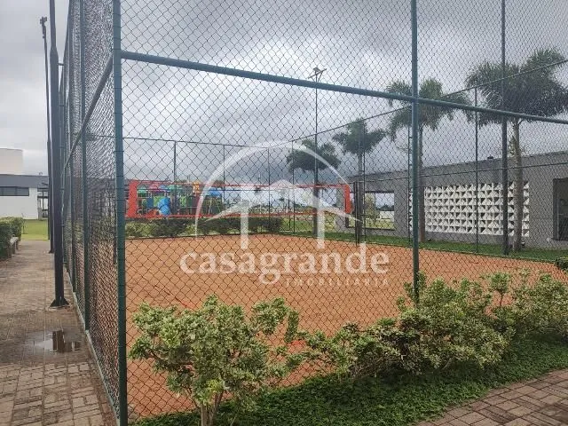 Imagem 6