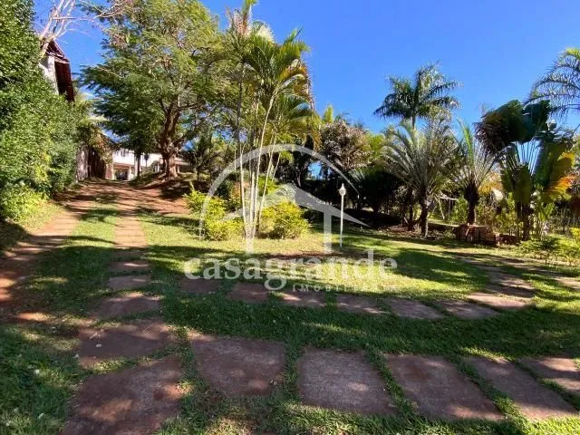 Imagem 8