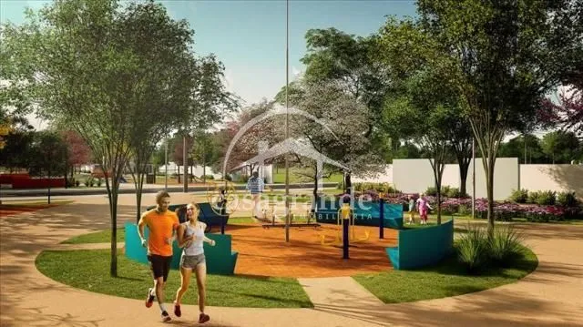 Imagem 5