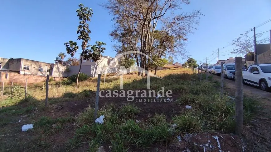 Imagem 3