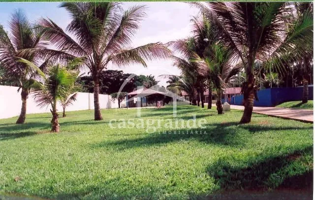 Imagem 6