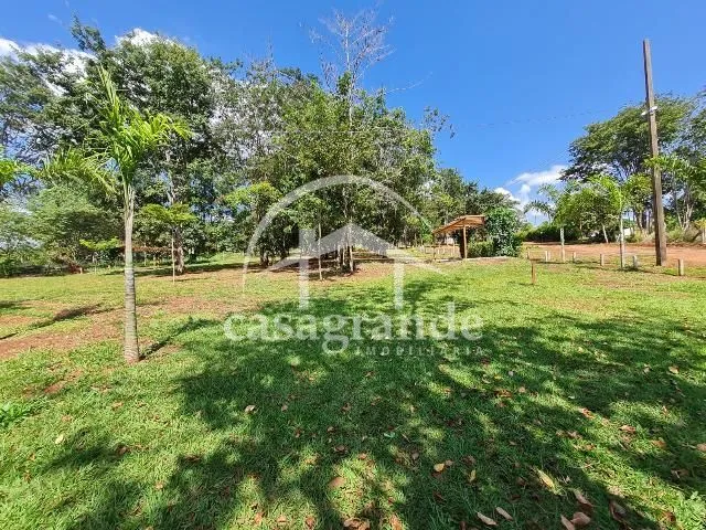Imagem 4