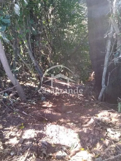 Imagem 6