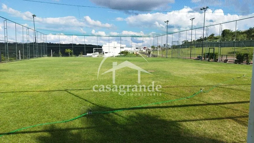 Imagem 7