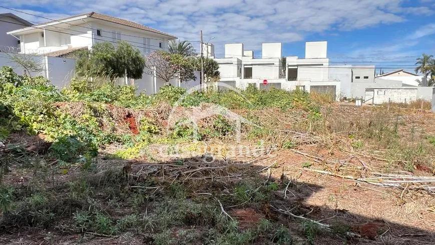 Imagem 3
