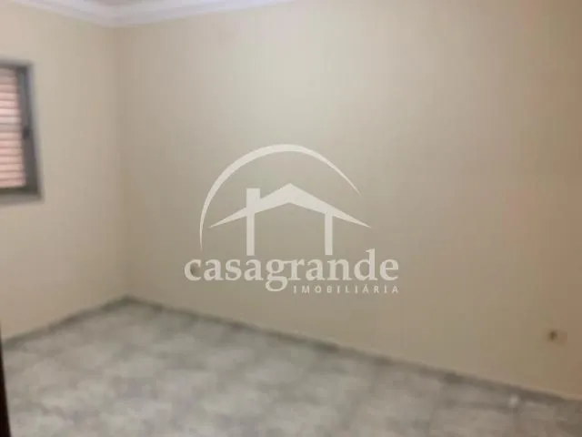 Imagem 12