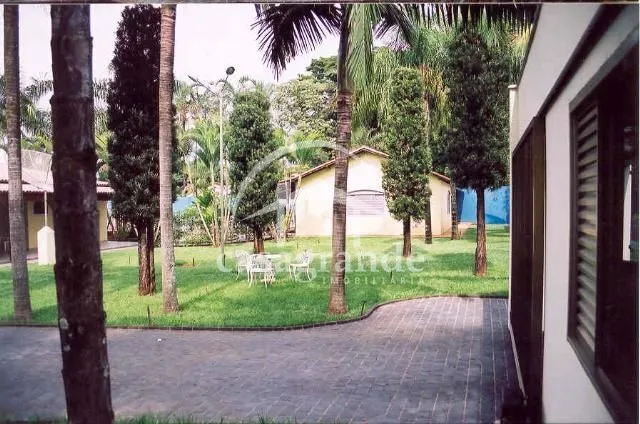 Imagem 11