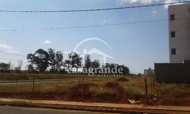 Imagem 4