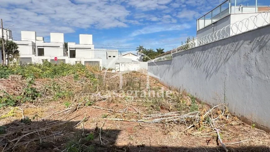 Imagem 6