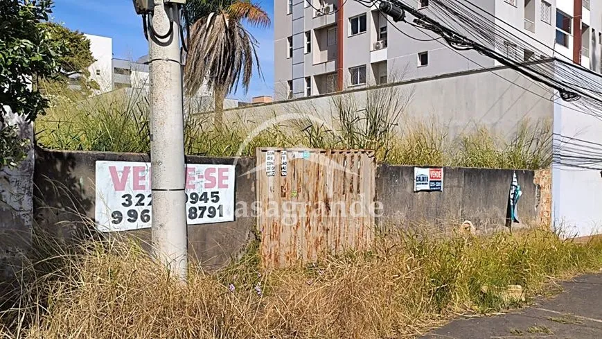 Imagem 2