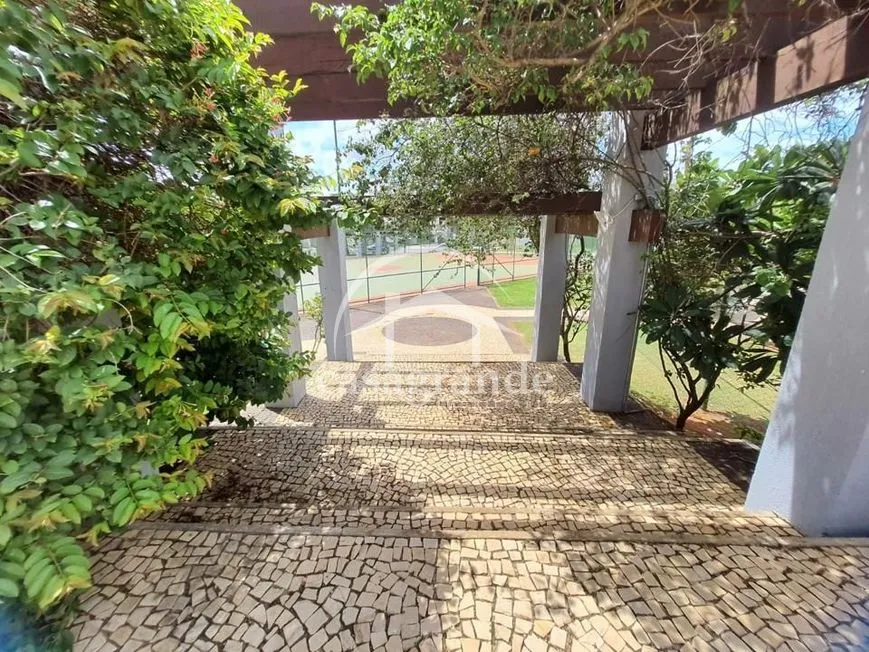 Imagem 6