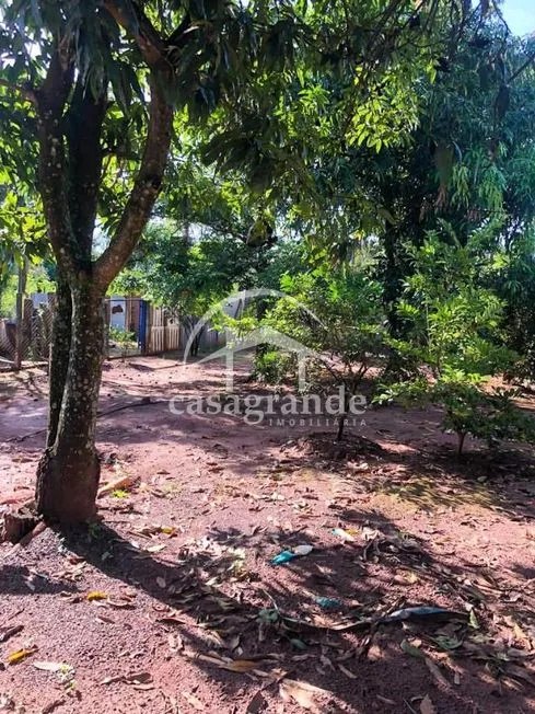 Imagem 4