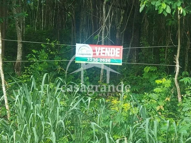 Imagem 7