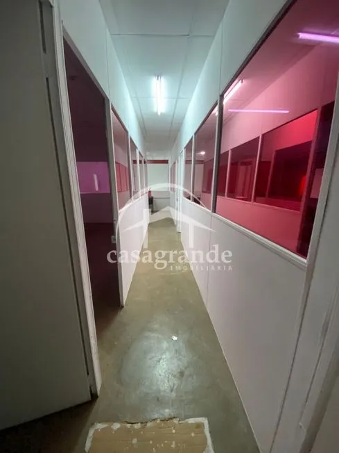 Imagem 13