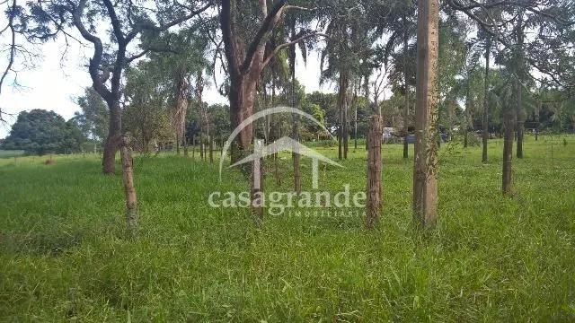 Imagem 4