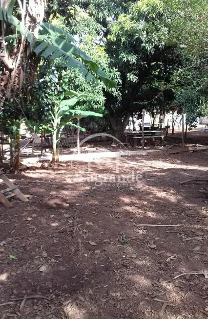 Imagem 30