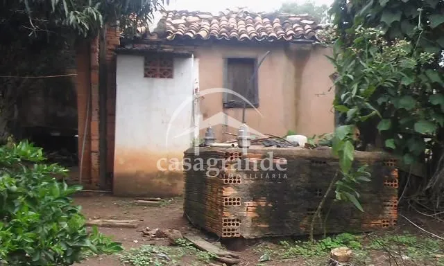Imagem 3