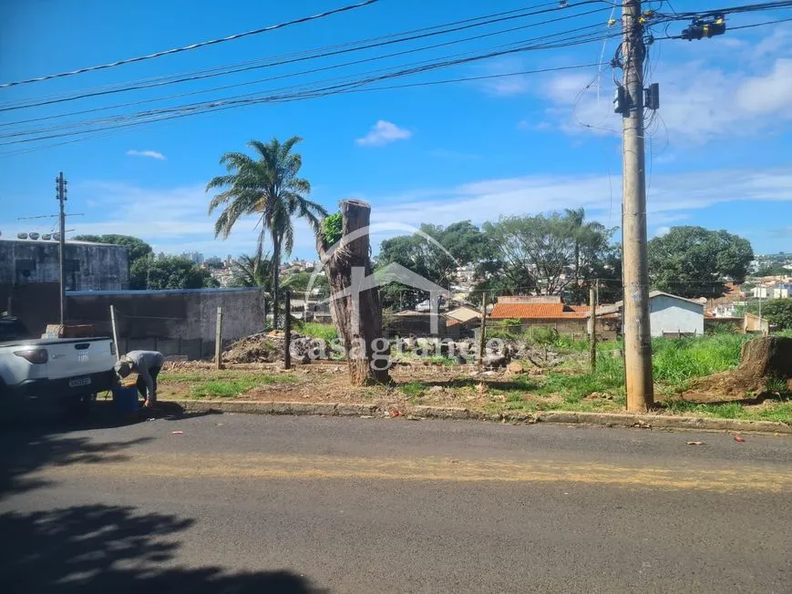 Imagem 4