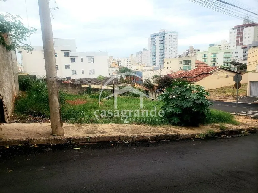Imagem 8