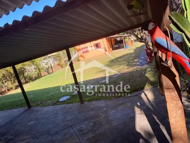 Imagem 12