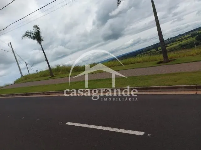 Imagem 3