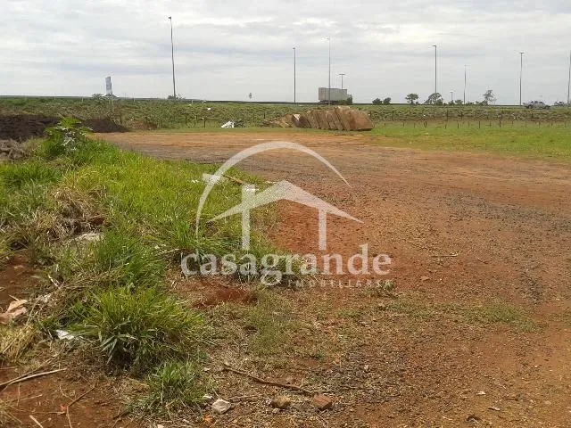 Imagem 3
