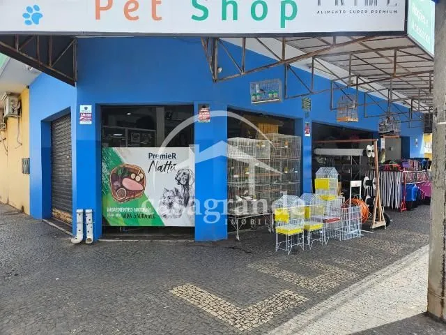 Imagem 2