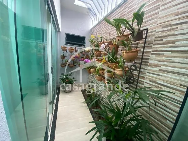 Imagem 23