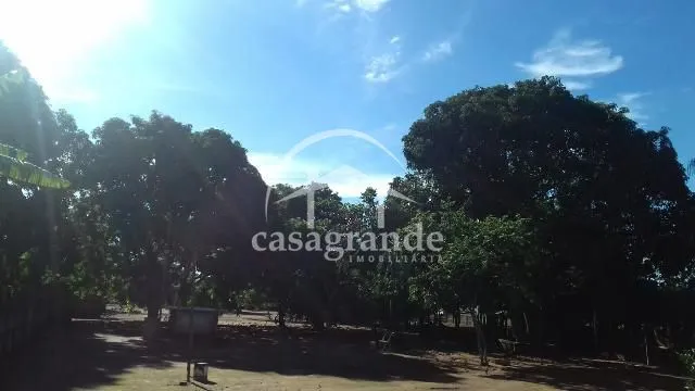 Imagem 29