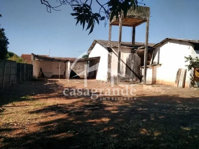 Imagem 5