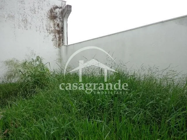 Imagem 14