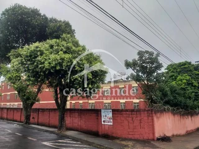 Imagem 5