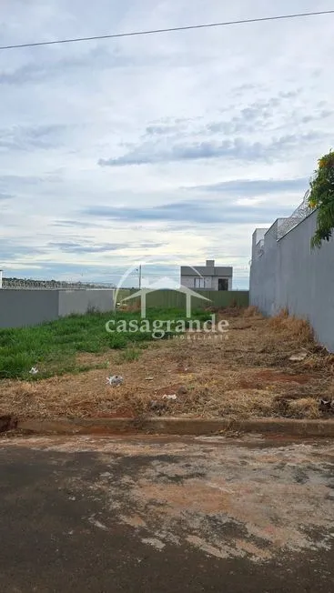 Imagem 7