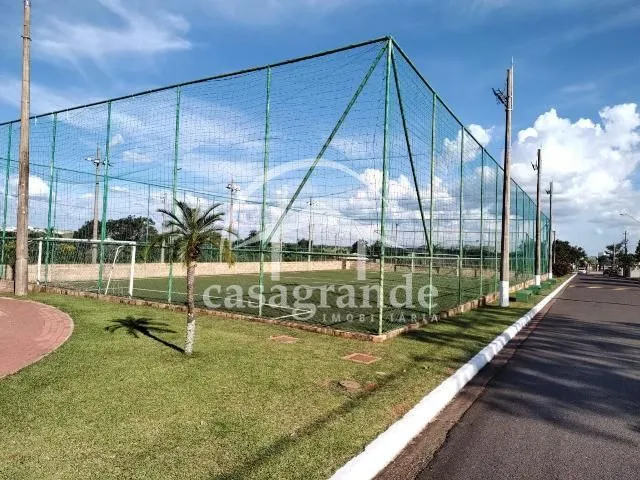 Imagem 3