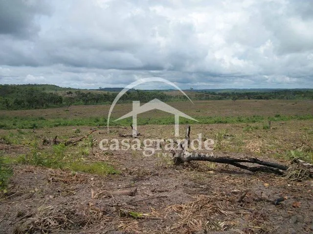 Imagem 3