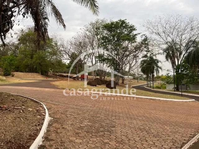 Imagem 3