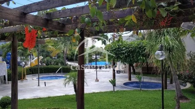 Imagem 6