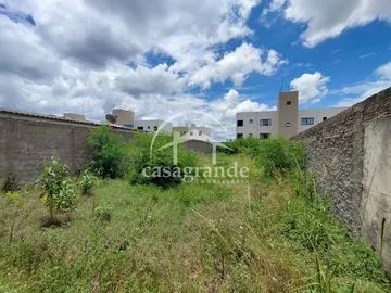 Terreno para vender no Osvaldo Rezende imagem 1
