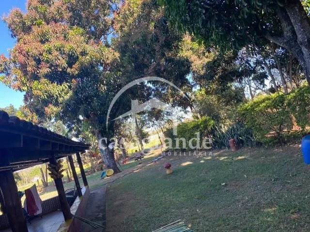 Imagem 3