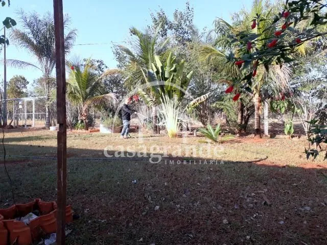 Imagem 6