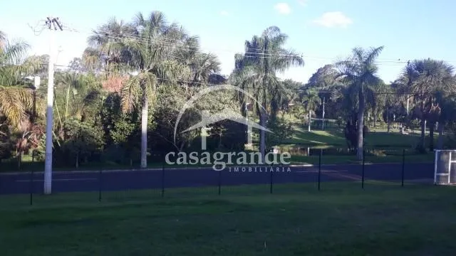 Imagem 2