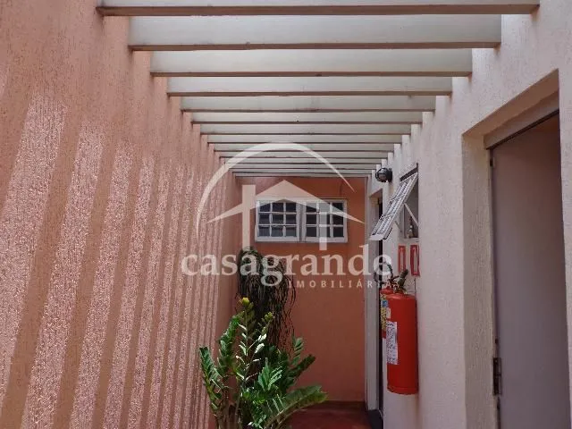 Imagem 8