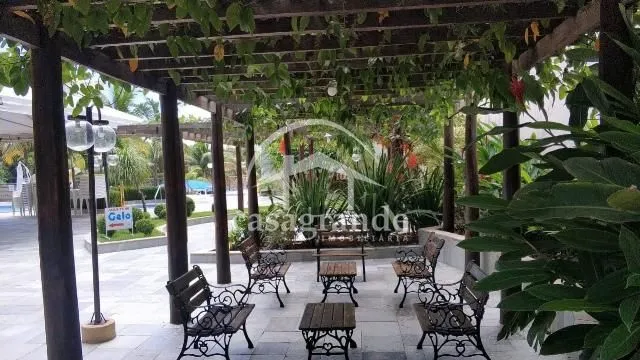 Imagem 8