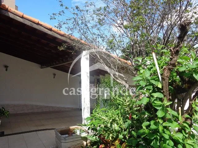 Imagem 4