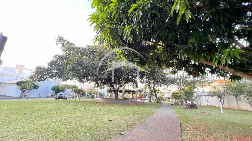 Imagem 10