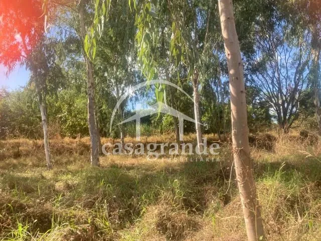 Imagem 17
